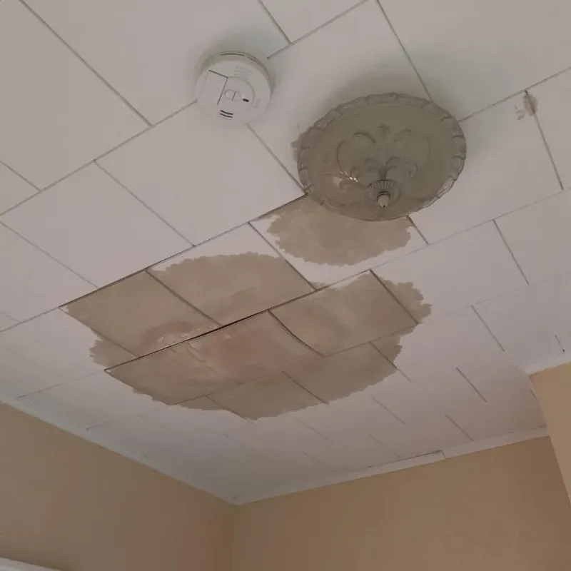 Ceiling Water Damage Repair in Maxton, NC