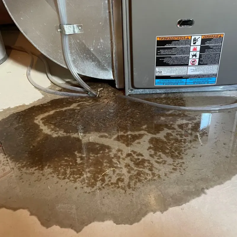 Pipe Burst and Leak Restoration in Maxton, NC