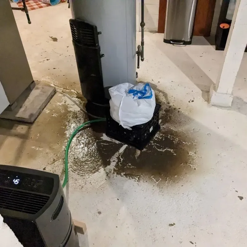 Sewage Backup Cleanup Service in Maxton, NC